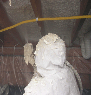 Decatur GA crawl space insulation